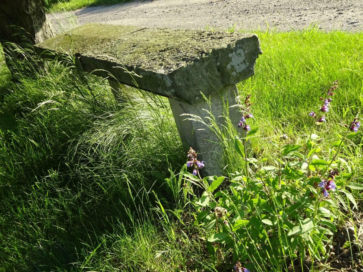 Alte Scheune Rietzschelhof Muglitztal Exterior foto